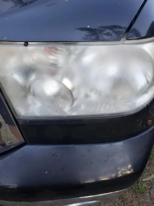 gallery 1